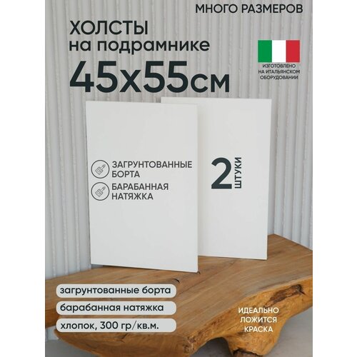 Холст на подрамнике, 2 шт, размер 45 х 55 см, Артель художников, хлопок 300 г/м2, грунтованный