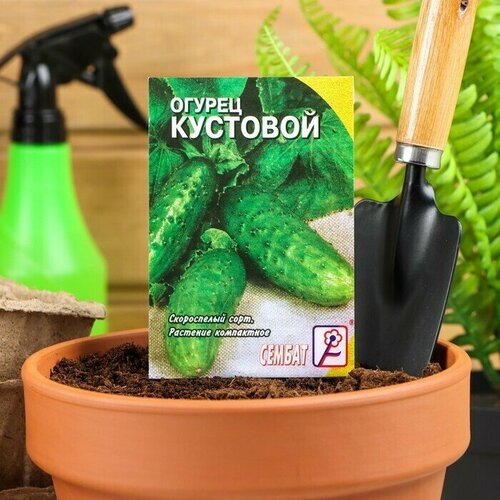 Семена Огурец Кустовой, 0,5 г 11 упаковок семена огурец кустовой 0 5 гр