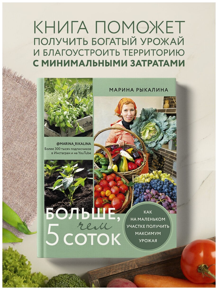 Больше, чем 5 соток. Как на маленьком участке получить максимум урожая - фото №1