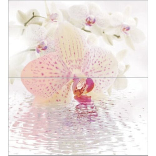 Керамическая плитка Ceradim Dec Orchid Panno из 2-х шт КПН16Orchid Панно 50x45 (цена за 18 компл)