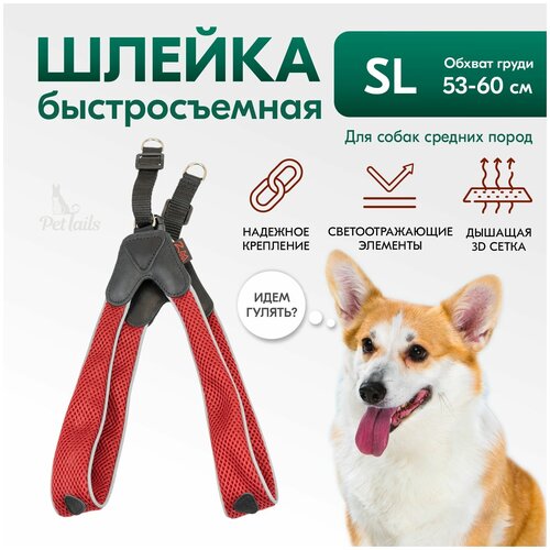 Шлейка для собак средних пород PetTails, серия 