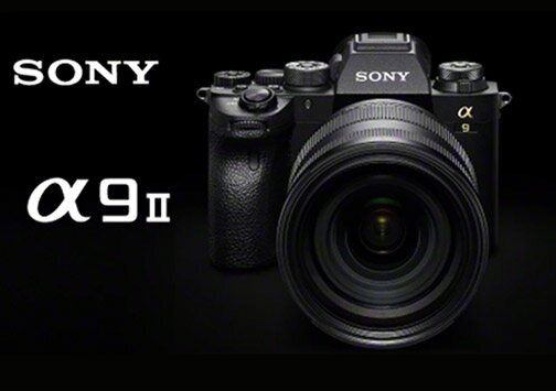 Sony - фото №10