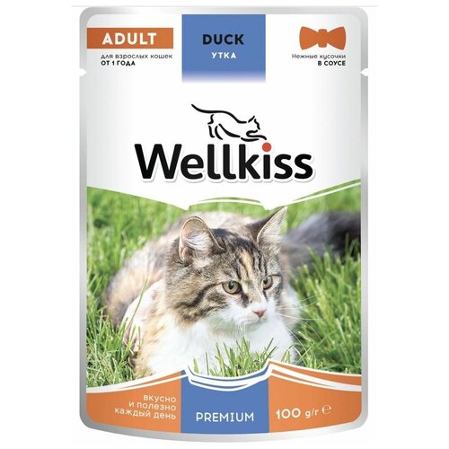 Wellkiss Adult влажный корм для взрослых кошек, с уткой в соусе, 100 г, 14 шт