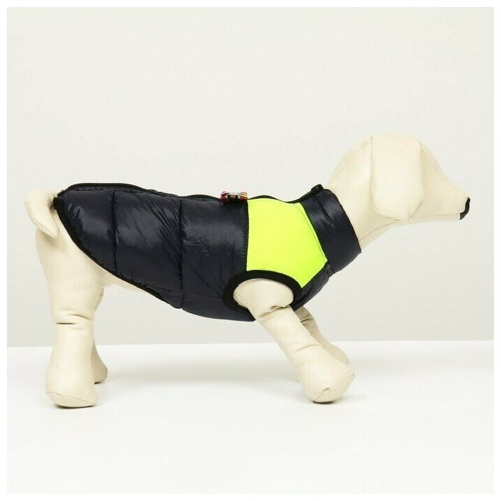 Одежда для животных. Куртка для собак на молнии, размер 8, синяя с жёлтым, 1 шт. - фотография № 1