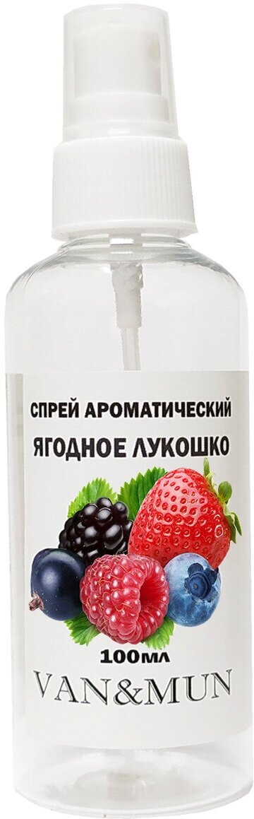 Ароматический спрей для дома и офиса "VAN&MUN" Ягодное лукошко 100 мл.