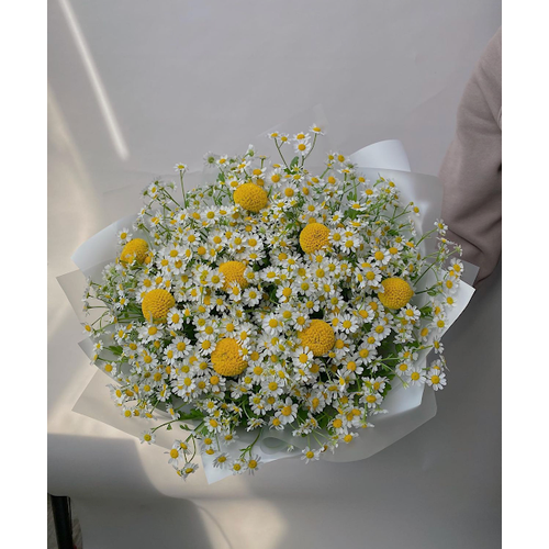 Букет ромашек "Цветочная полянка", краспедия шаровидная, красивый букет цветов, шикарный, цветы премиум.