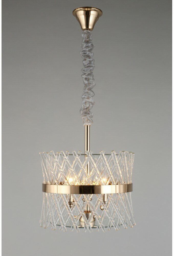 APL.734.06.03 Светильник подвесной Aployt Toinet — фото 1