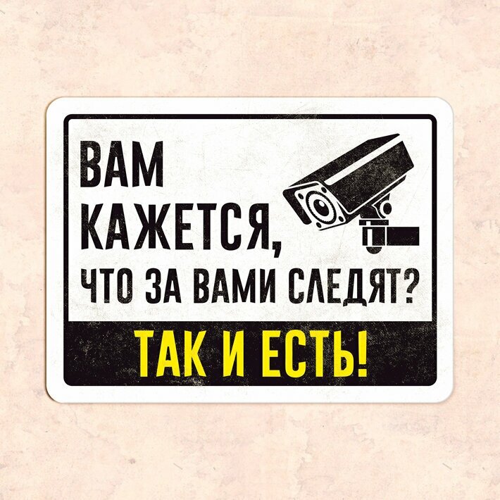 Табличка "Вам кажется, что за вами следят? Так и есть!", 30х22,5 см, УФ-печать, ПВХ - фотография № 1