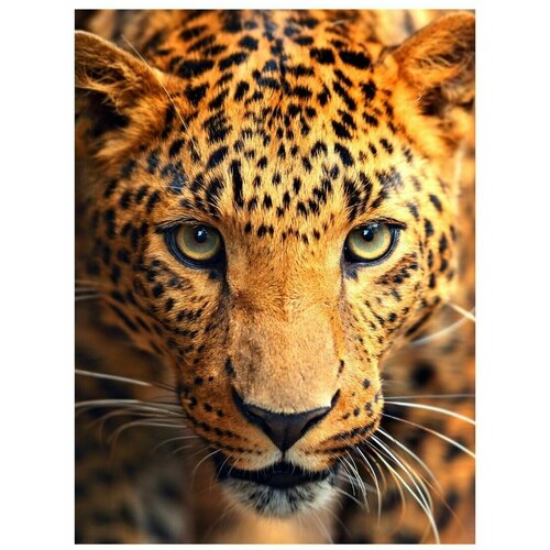 Картина на холсте / на стену / для интерьера 30х40 см