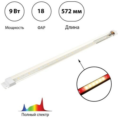 Фитосветильник светодиодный, 9 Вт, 572 мм, IP20, полный спектр, бело-красный, FITO-9W-T5-Ra90, «ЭРА»