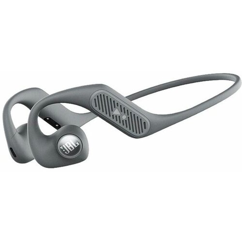 Беспроводные наушники JBL NEARBUDS серый 2328000₽