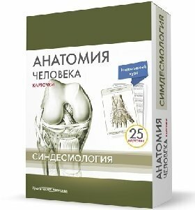 Сапин М. Р, Николенко В. Н, Тимофеева М. О. "Анатомия человека: карточки (25шт). Синдесмология. Русские и латинские названия анатомических структур"