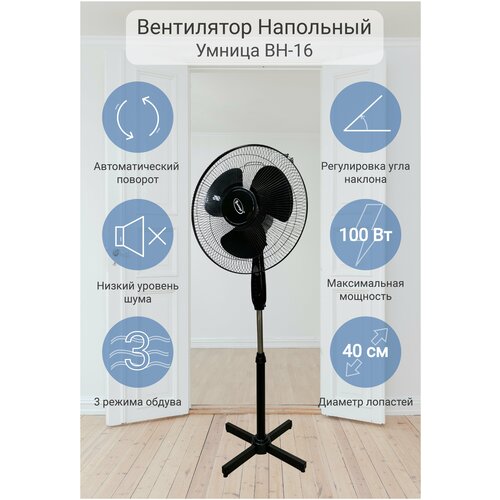 Напольный вентилятор Умница ВН-16 черный 2690₽