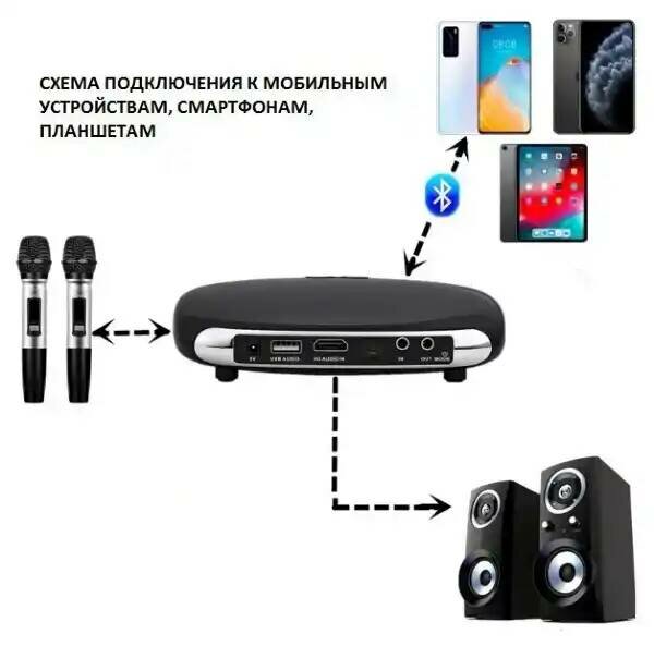 Беспроводная караоке система с двумя микрофонами- MadSound Karaoke 8 BT (Black) — фото 8