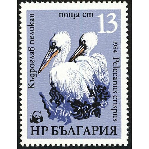 (1984-073) Марка Болгария Пеликан (2) Всемирная охрана природы III Θ 1984 073 марка болгария пеликан 2 всемирная охрана природы i θ