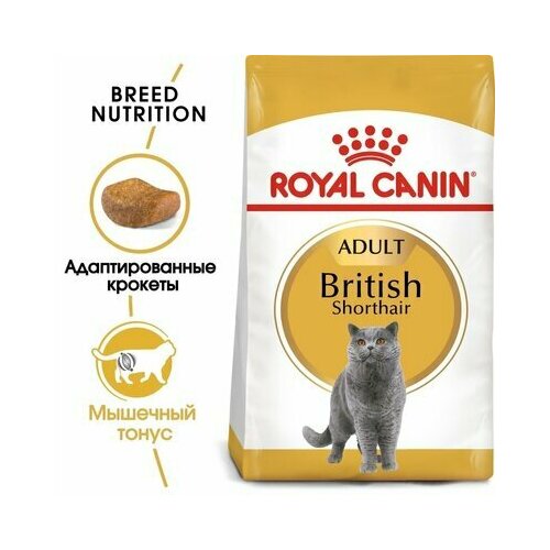 Сухой корм Royal Canin для британских короткошерстных кошек 13 кг