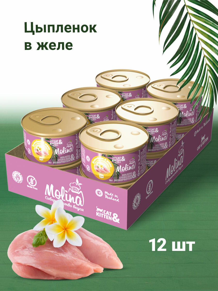 Консервы MOLINA для кошек и котят с цыпленком в желе (70 гр х 12 шт)