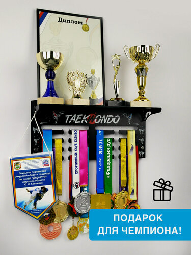 Изображение товара Медальница с полкой Лайт "Тхэквондо" черная, металлическая, держатель для медалей и кубков