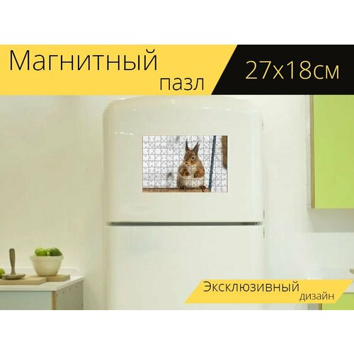 Магнитный пазл Милый, млекопитающие, животный мир на холодильник 27 x 18 см.