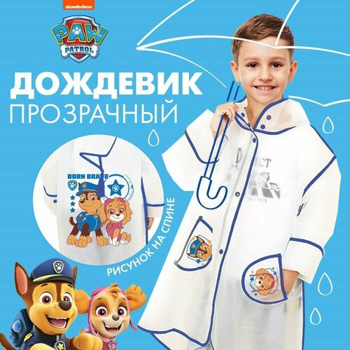 фото Дождевик, размер 110-120, коричневый, голубой paw patrol