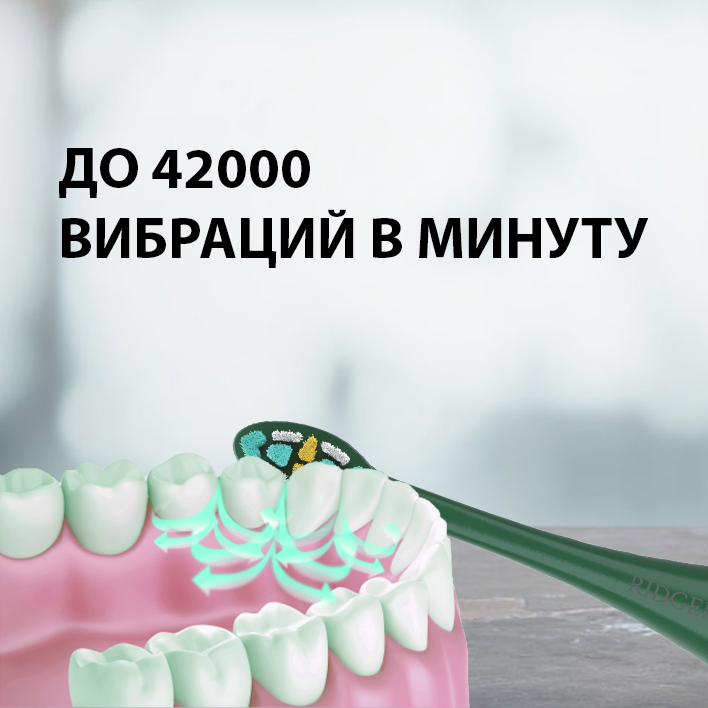 Электрическая зубная щетка RIDGEN RD-980 Black 8 насадок дорожый футляр 5 режимов очистки