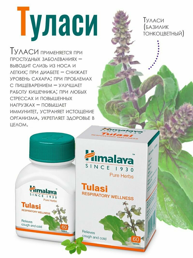 Туласи Tulasi Himalaya от простуды и гриппапротивовоспалительноеповышает иммунитет  60 таб