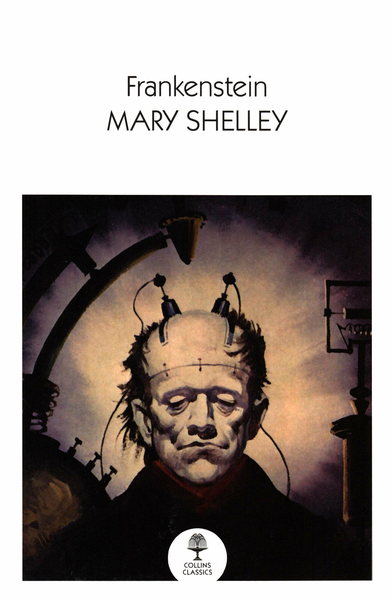 Frankenstein / Shelley Mary / Книга на Английском / Шелли Мэри - фото №1