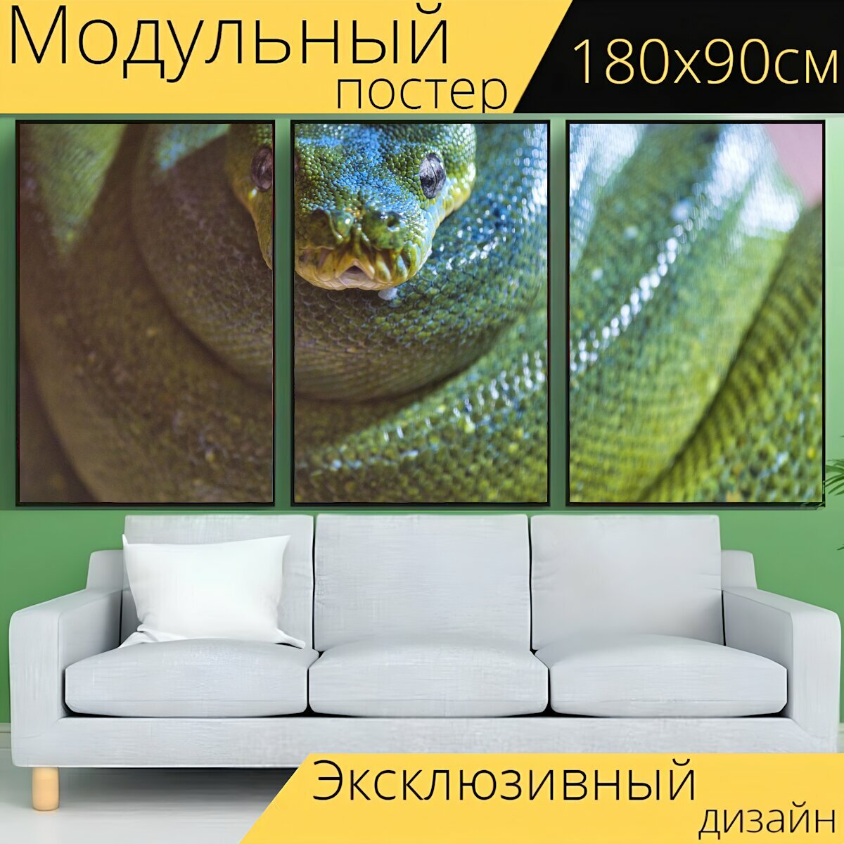 Модульный постер "Змея, питон, рептилия" 180 x 90 см. для интерьера