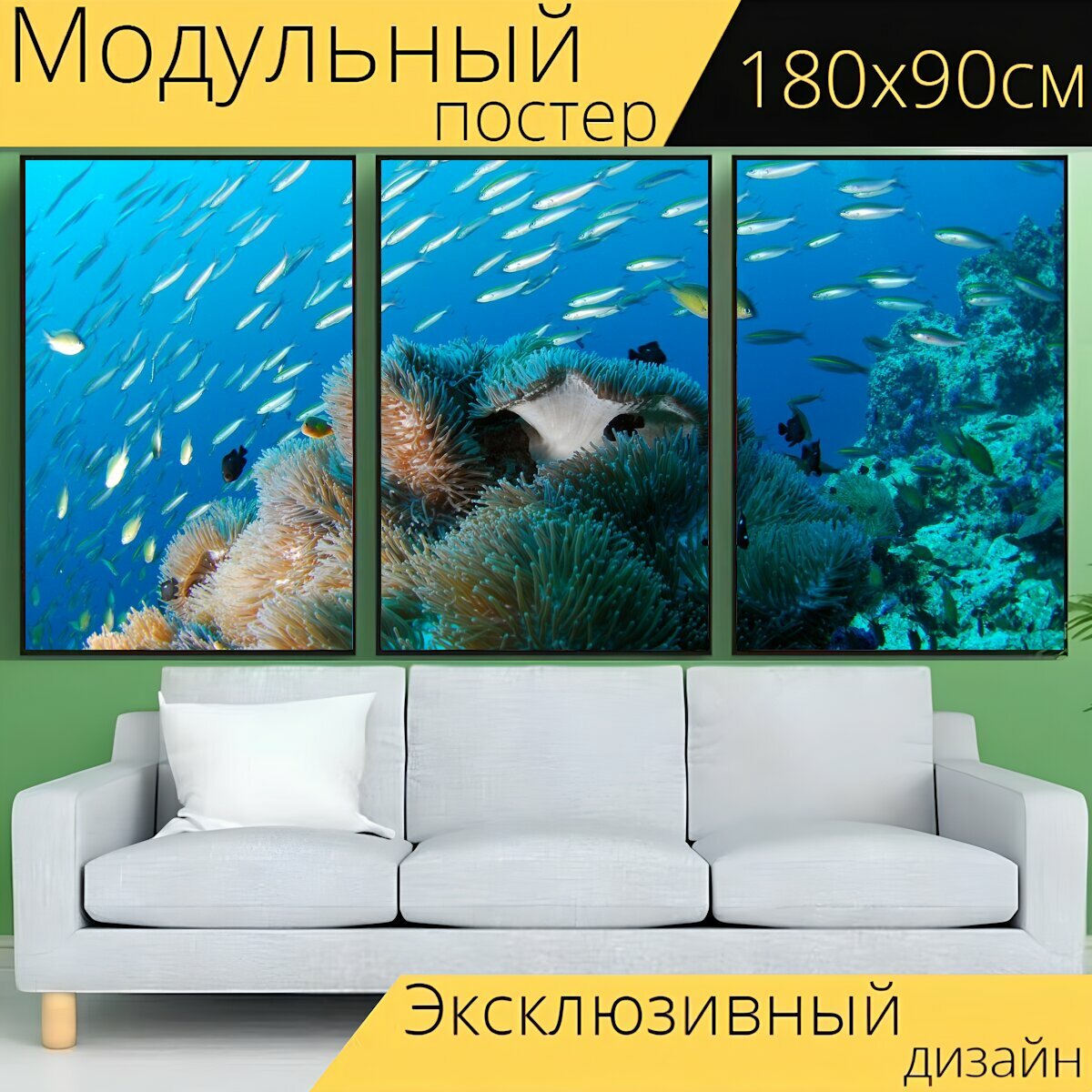 Модульный постер "Дайвинг, подводный, океан" 180 x 90 см. для интерьера