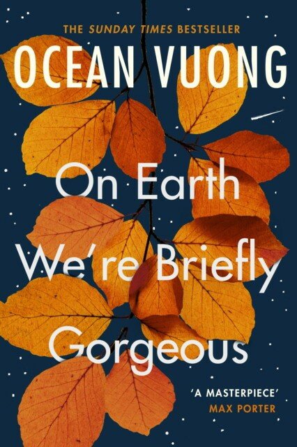 Vuong, Ocean "On Earth We're Briefly Gorgeous"