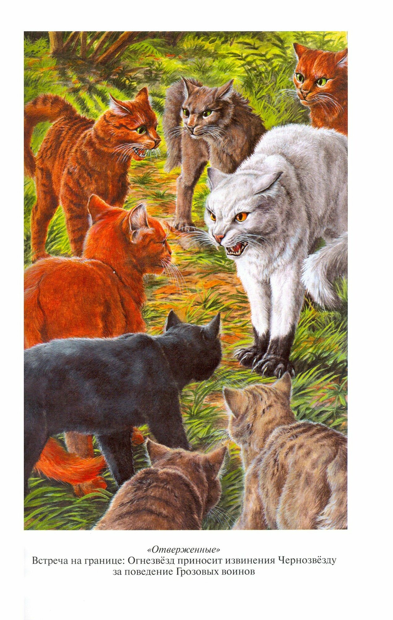 Книга Отверженные, Затмение (Хантер Э.) - фото №2