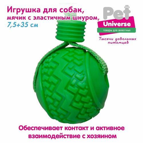 Игрушка для собак Pet Universe мячик с эластичным шнуром шнуром 35х7,5 см, ТПР+полиэстер, 110 гр, зелёный PU3055GN мячик для собак jw pet