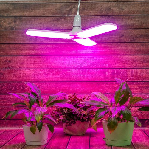 Фитолампа светодиодная для растений Uniel Е27 220 В 24 Вт клевер 3 лепестка красно-синий спектр розовый свет лампа для растений 18w e27 гриб красно синий спектр фиолетовый свет свечения
