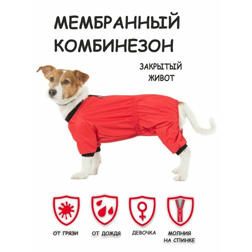 Комбинезон для собак Мартин Dogmoda девочка коралловый 4