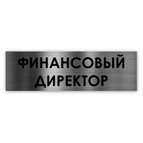 финансовый директор табличка на дверь standart 250 75 1 5 мм серебро Финансовый директор табличка на дверь Standart 250*75*1,5 мм. Серебро