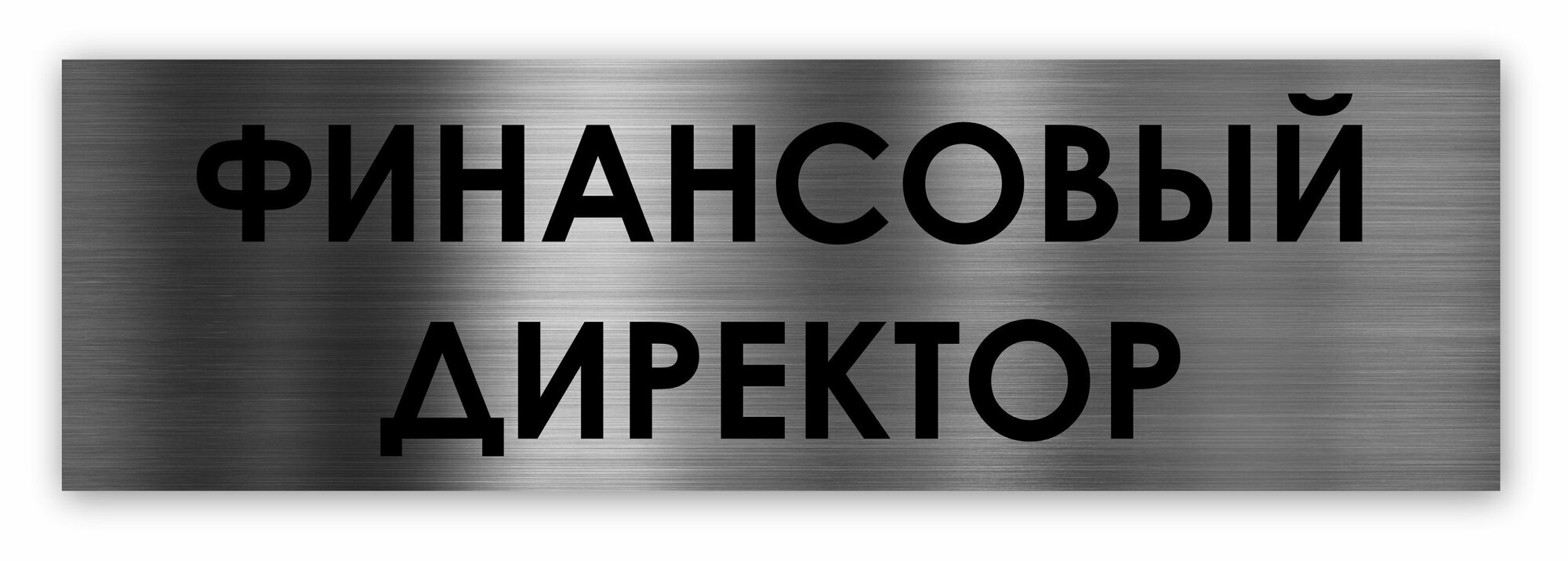 Финансовый директор табличка на дверь Standard 250*75*1,5 мм. Серебро