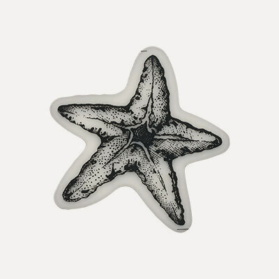 Изображение товара Mr.Painter TSM-03-AF05 Штамп 5.8 см×5.8 см Морская звезда декоративный штамп для творчества