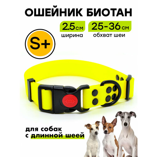 Ошейник из биотана 25-36 см (S+), 25 мм, Woofy "Iron", водостойкий, для небольших и средних собак, желтый