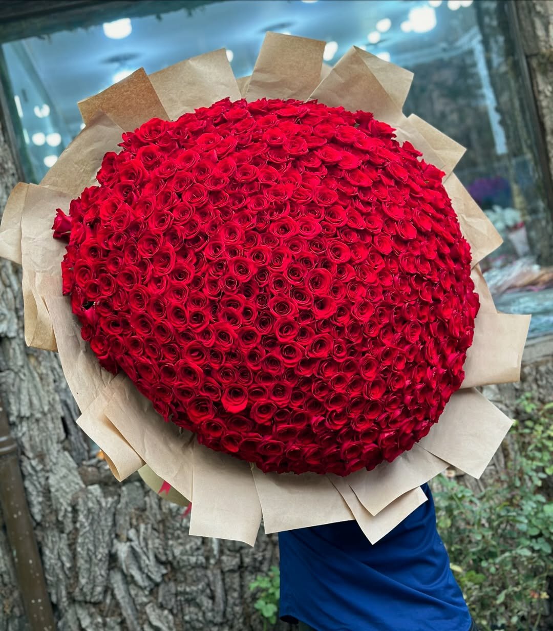 Букет из 501 красной розы премиум качества — гигантский монобукет для роскошного подарка премиум букет