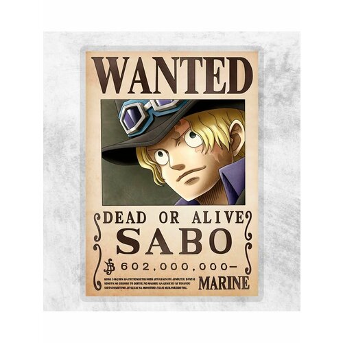 Постер One Piece: Сабо (розыскная листовка)