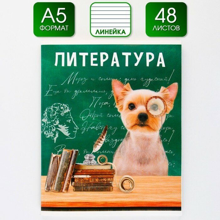 Предметная тетрадь, 48 листов, «милые питомцы», со справочными материалами «Литература», обложка мелованный картон 230 гр, внутренний блок в линейку 80 гр, белизна 96%, блок №1.