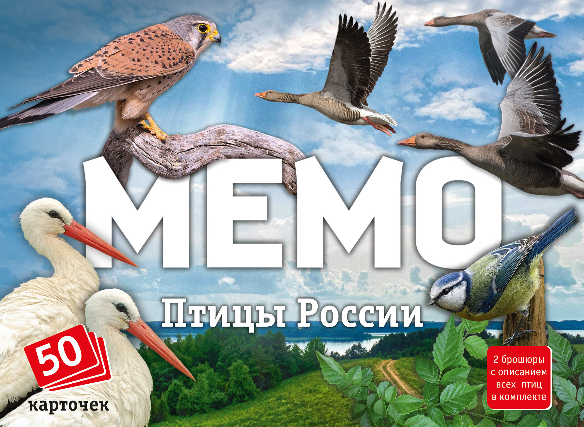 Мемо "Птицы России" артикул 8647 (50 карточек, в комплекте 2 брошюры) /48
