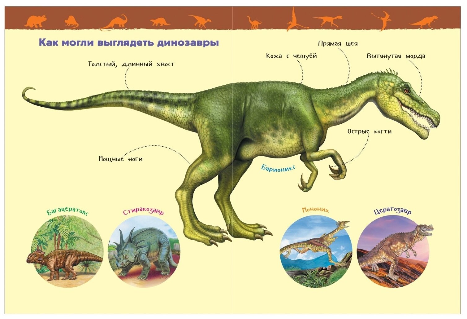 Динозавры. Энциклопедия для детского сада - фото №6