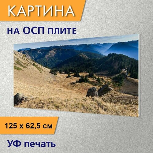 Горизонтальная картина 