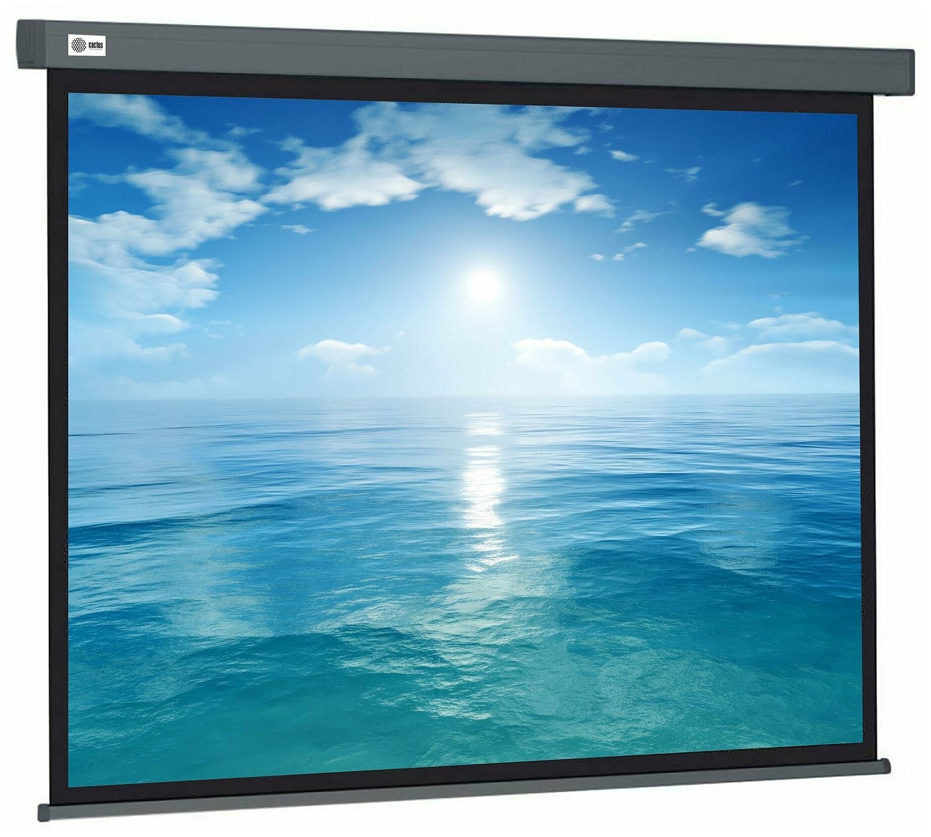 Экран Cactus 104.6x186см Wallscreen CS-PSW-104X186-SG 16:9, серый