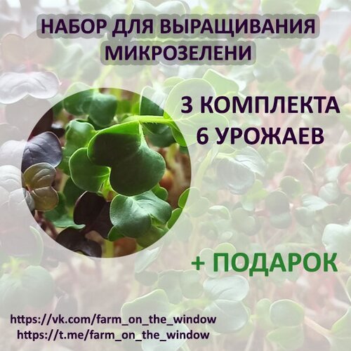 Набор для выращивания микрозелени. 3 лотка, 6 урожаев