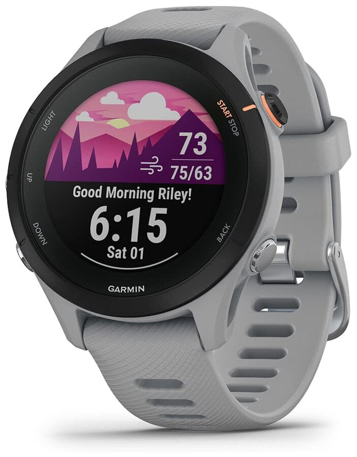 Спортивные часы Garmin Forerunner 255S Powder Gray (010-02641-12)