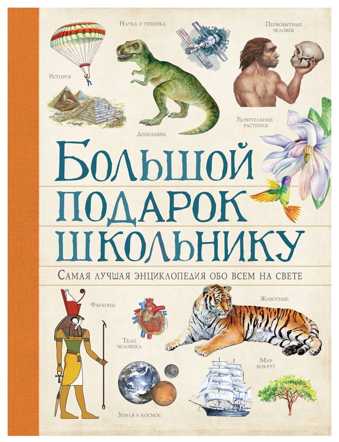 Большой подарок школьнику (Ачети Лаура, Скудери Марко) - фото №1