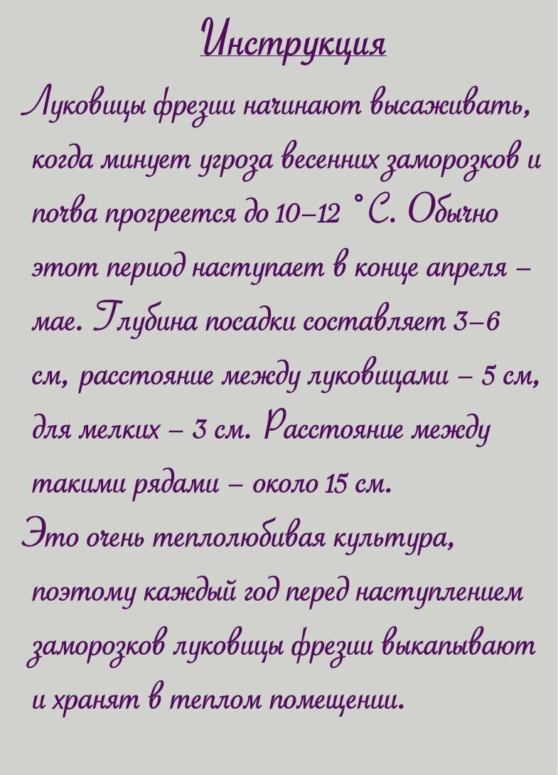 Фрезия розовая (pink - roze) луковицы 15 шт сотка - фотография № 3