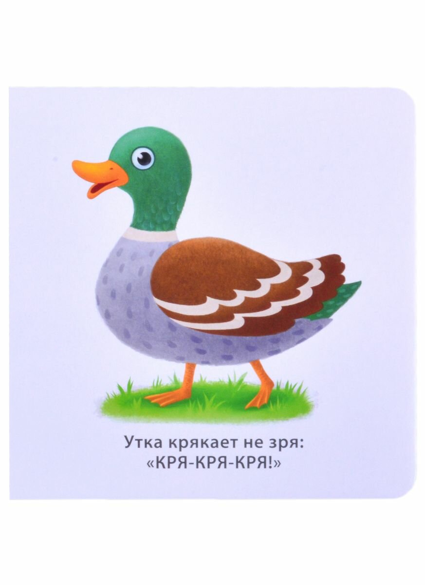 Звукоподражалки (Сосновский Евгений Анатольевич) - фото №7